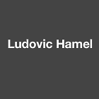 Hamel Ludovic Expert