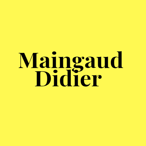 Maingaud Didier Expert
