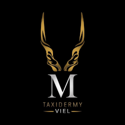 Taxidermie Viel naturaliste, taxidermiste et entomologiste