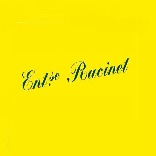 Entreprise Racinet Sarl Expert