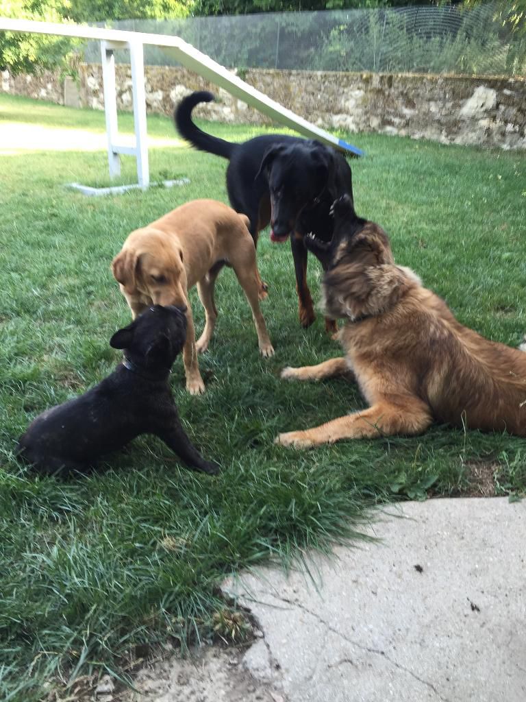 galerie image galerie image