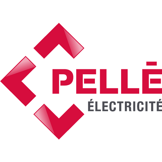 Pelle SA électricité (production, distribution, fournitures)