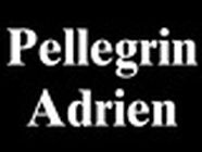 ETS PELLEGRIN & FILS Expert