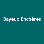 BAYEUX ENCHERES SARL établissement financier
