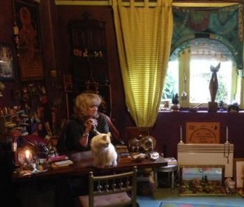 galerie image galerie image