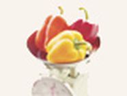 Préau Guilloteau Virginie aides et services aux personnes âgées, personnes dépendantes