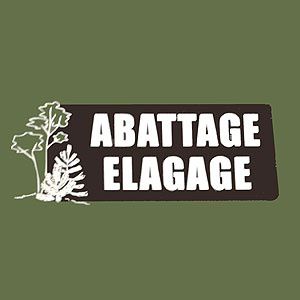 ABATTAGE ELAGAGE CHAUVEAU Expert