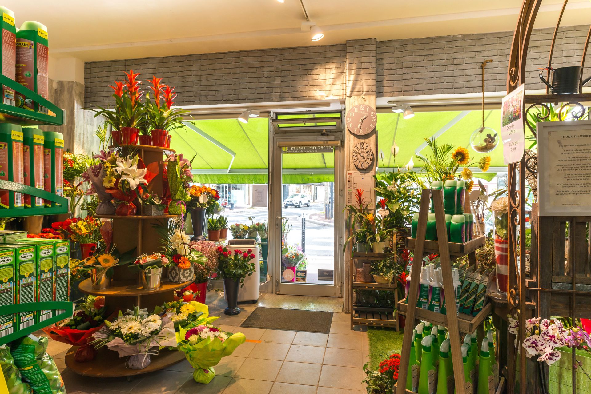 galerie image
