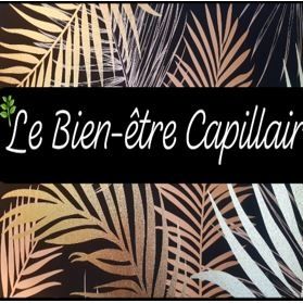 Le Bien Etre Capillaire