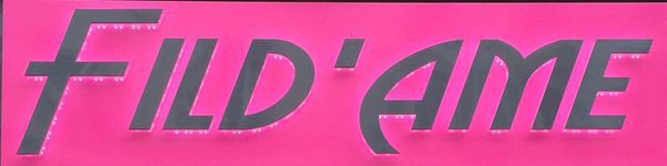Fild'Ame