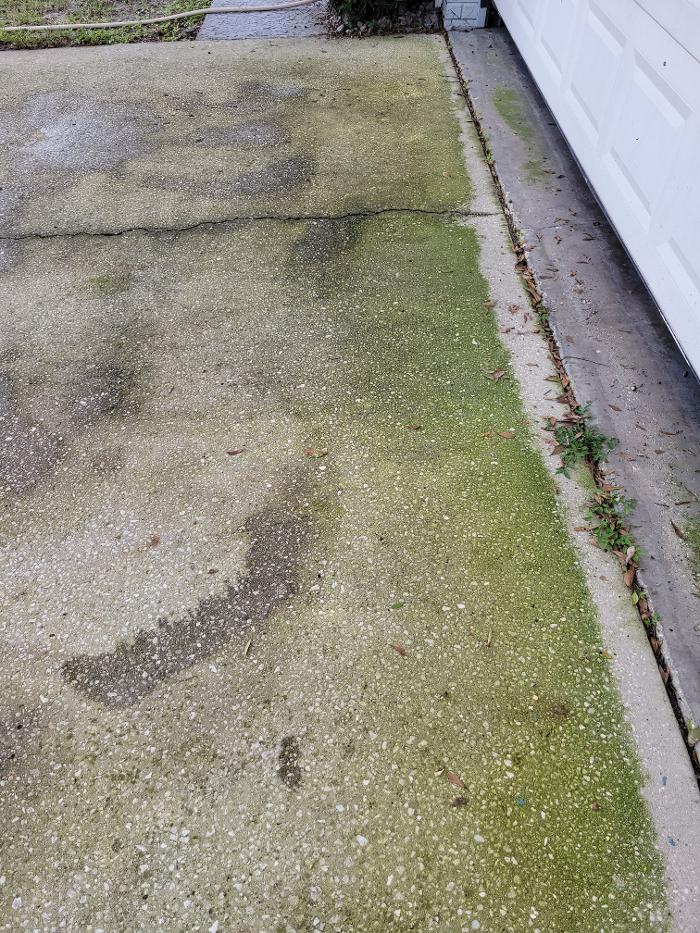 Complete Softwash Solutions LLC - Holiday, FL