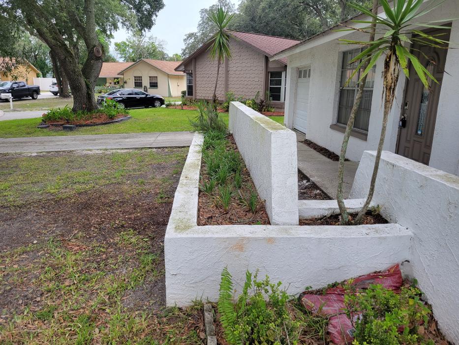 Complete Softwash Solutions LLC - Holiday, FL