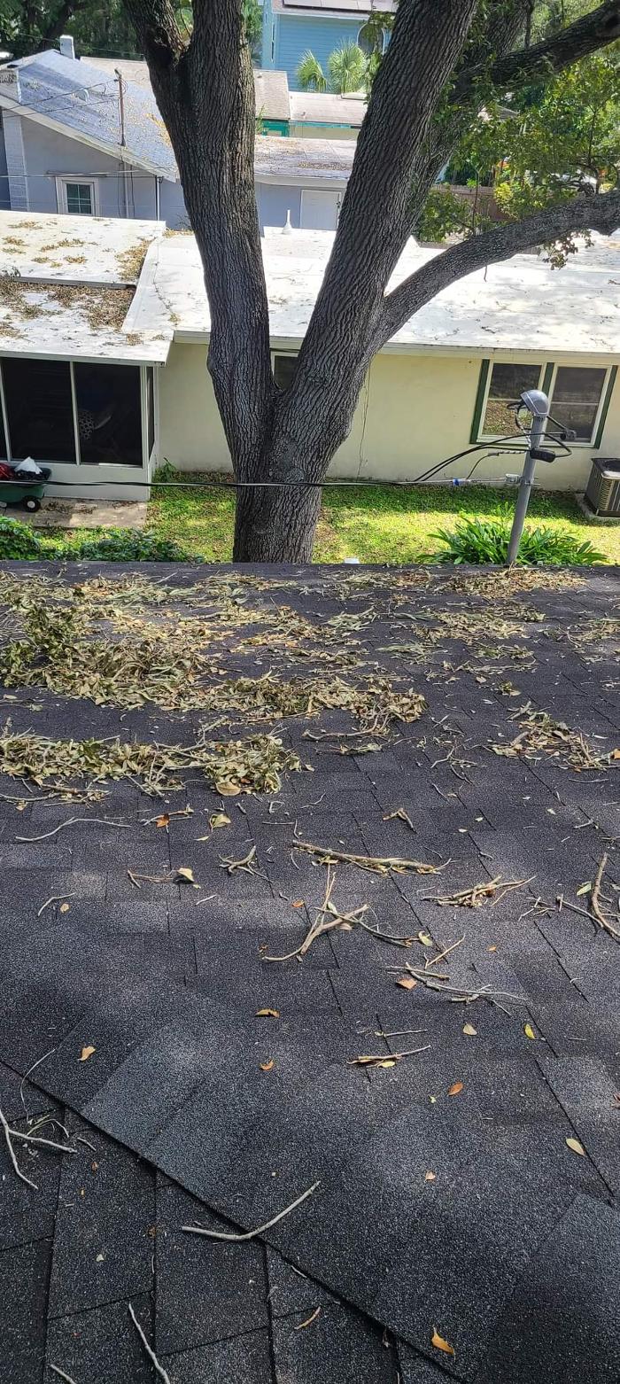 Complete Softwash Solutions LLC - Holiday, FL