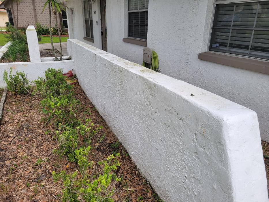 Complete Softwash Solutions LLC - Holiday, FL