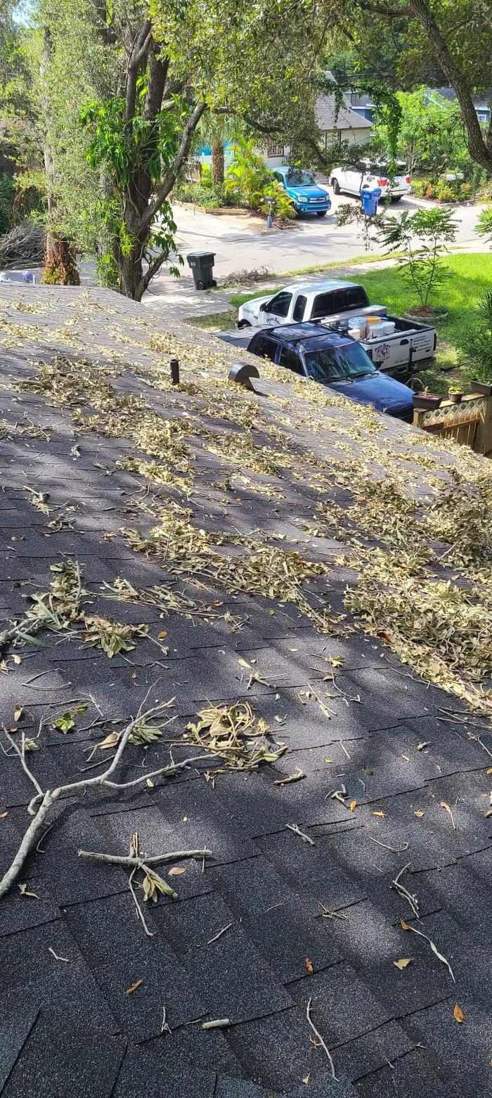 Complete Softwash Solutions LLC - Holiday, FL