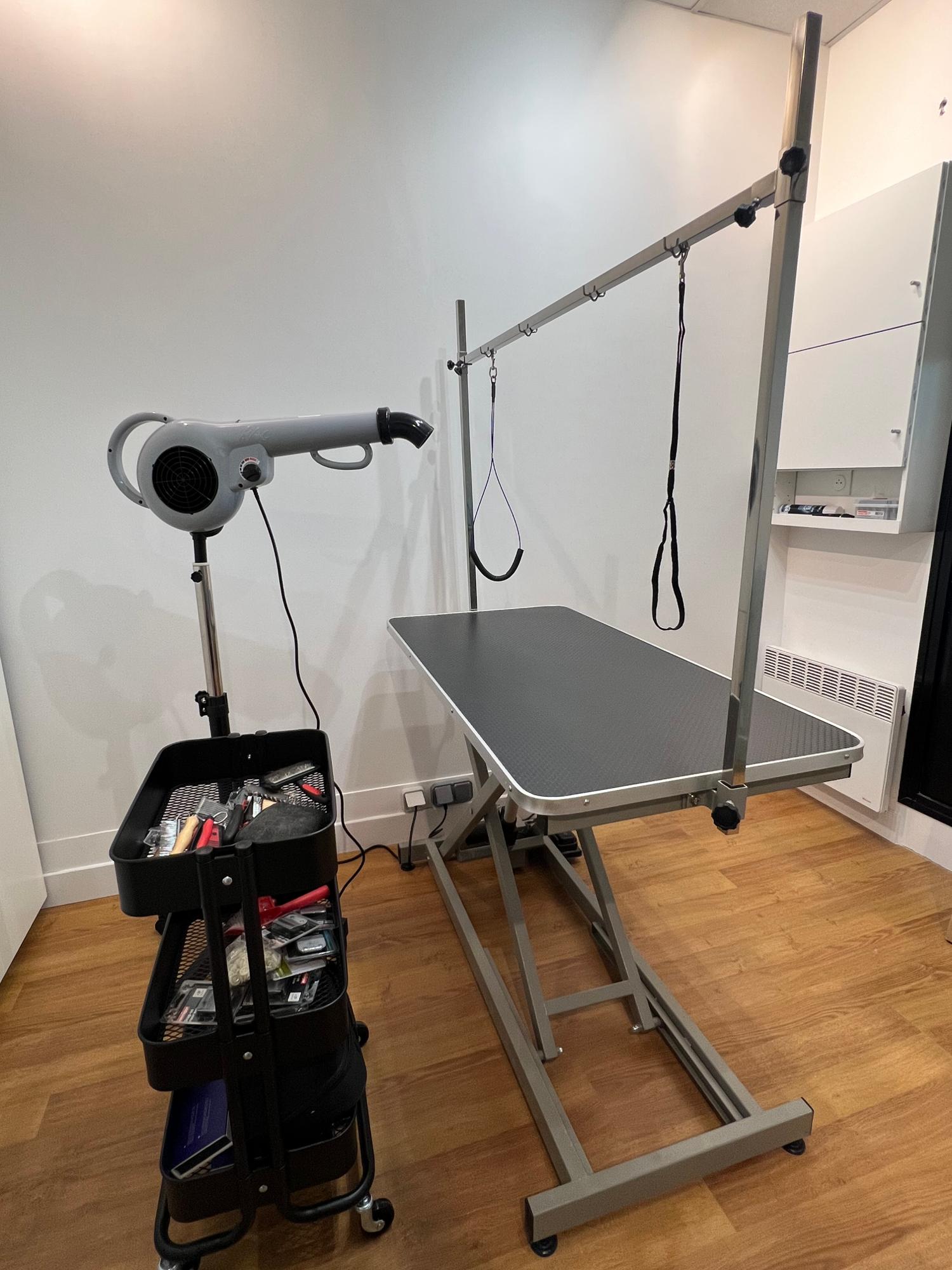 Miniature de la galerie