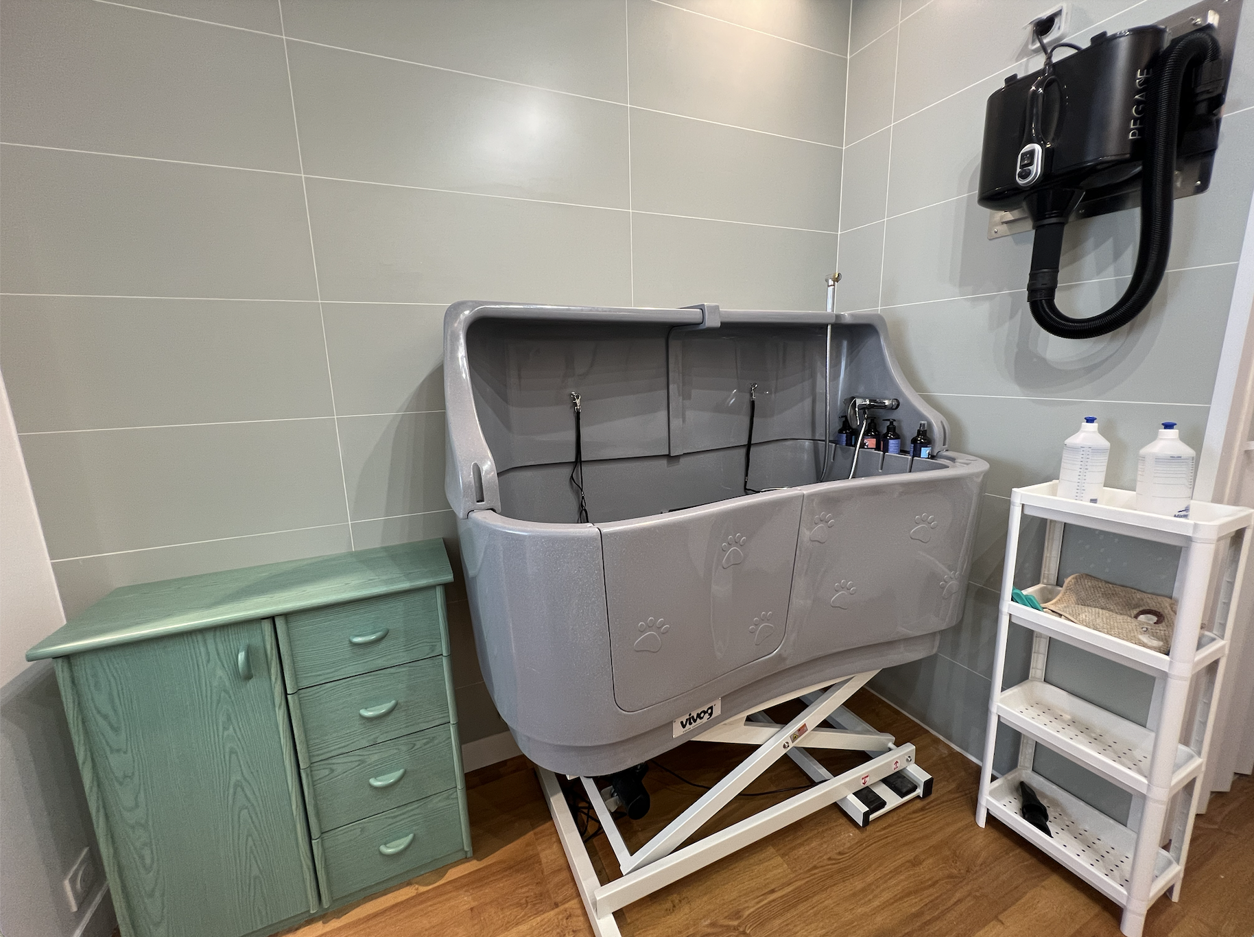 Miniature de la galerie