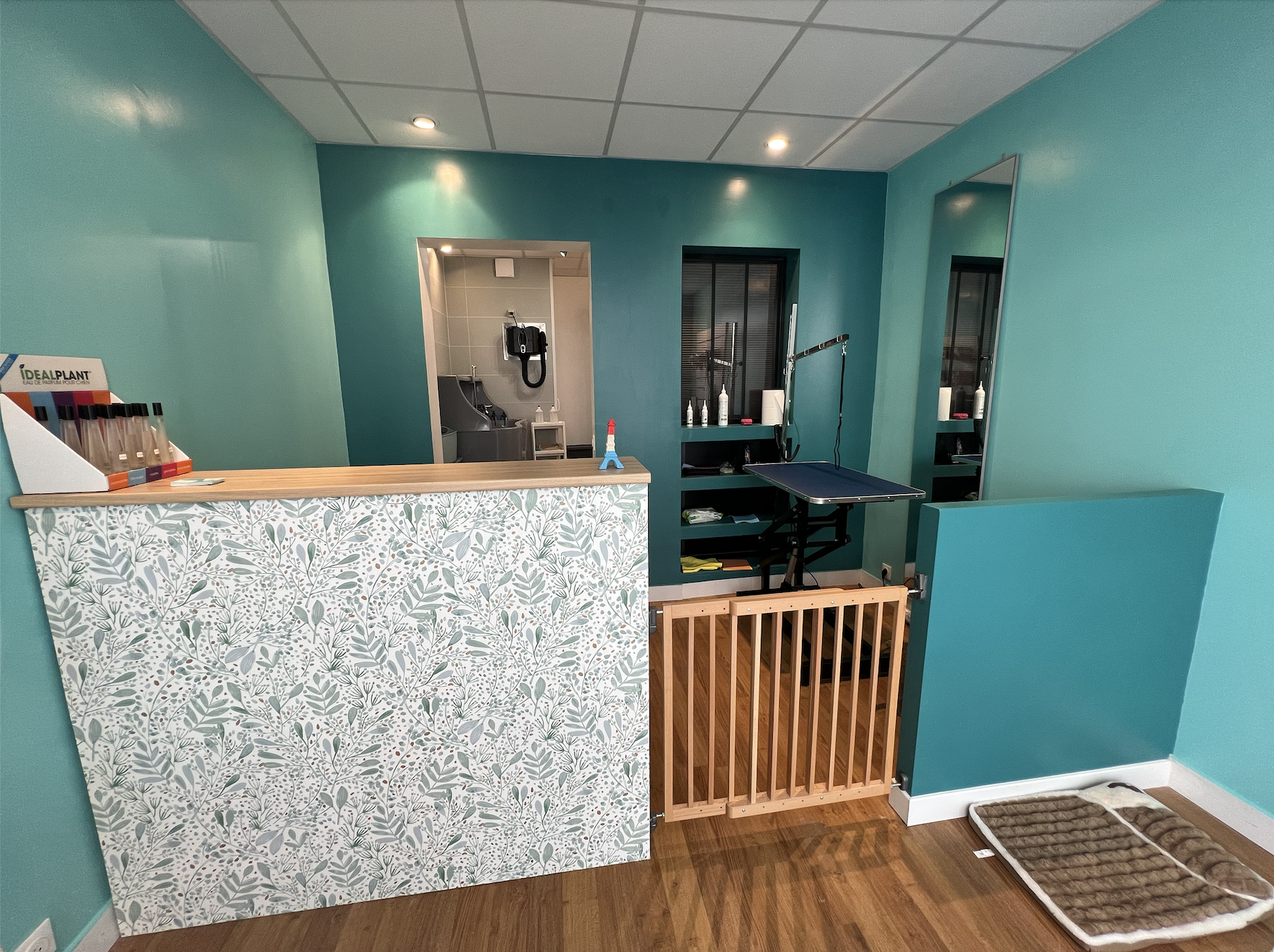 Miniature de la galerie