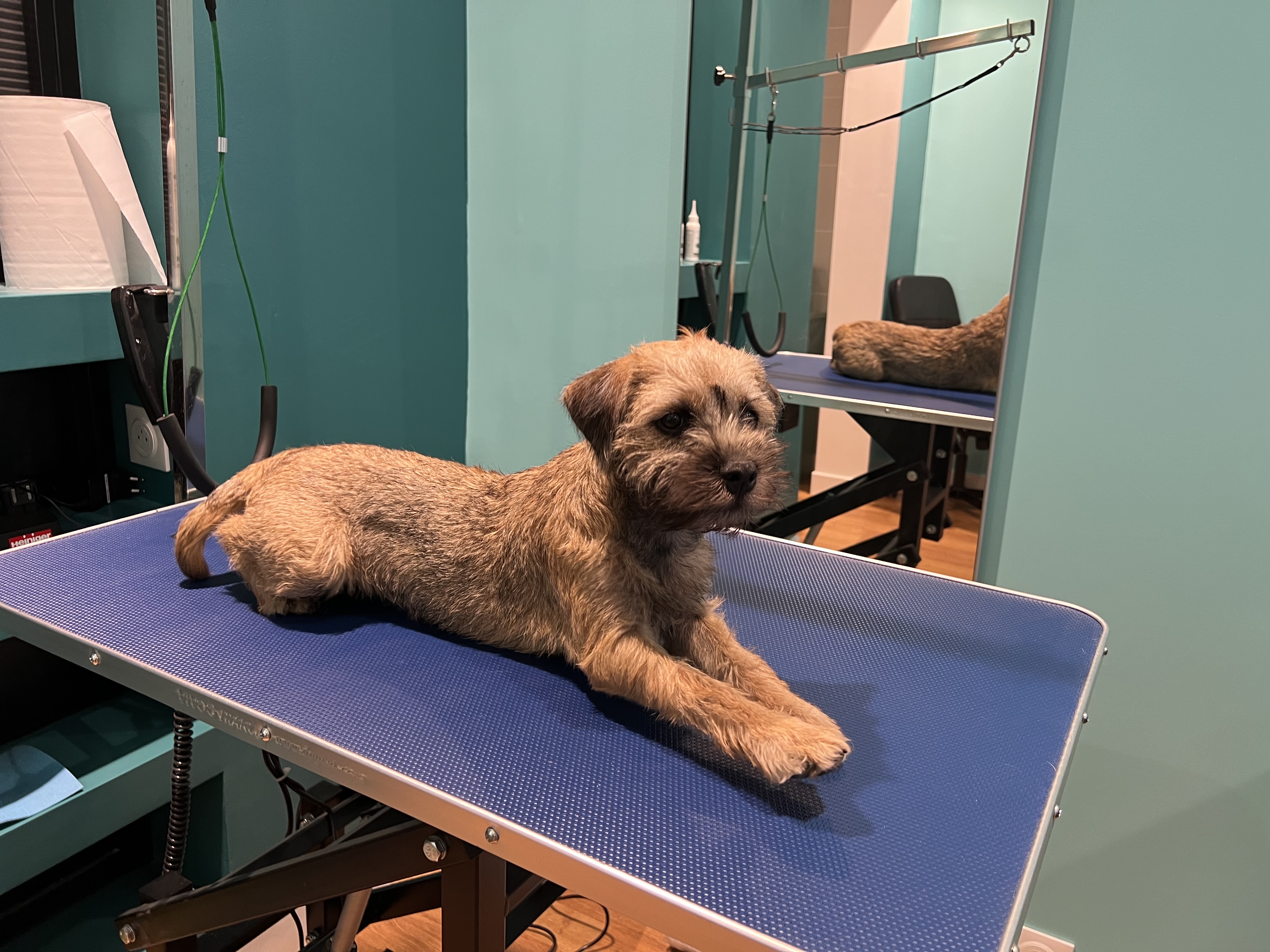 Miniature de la galerie