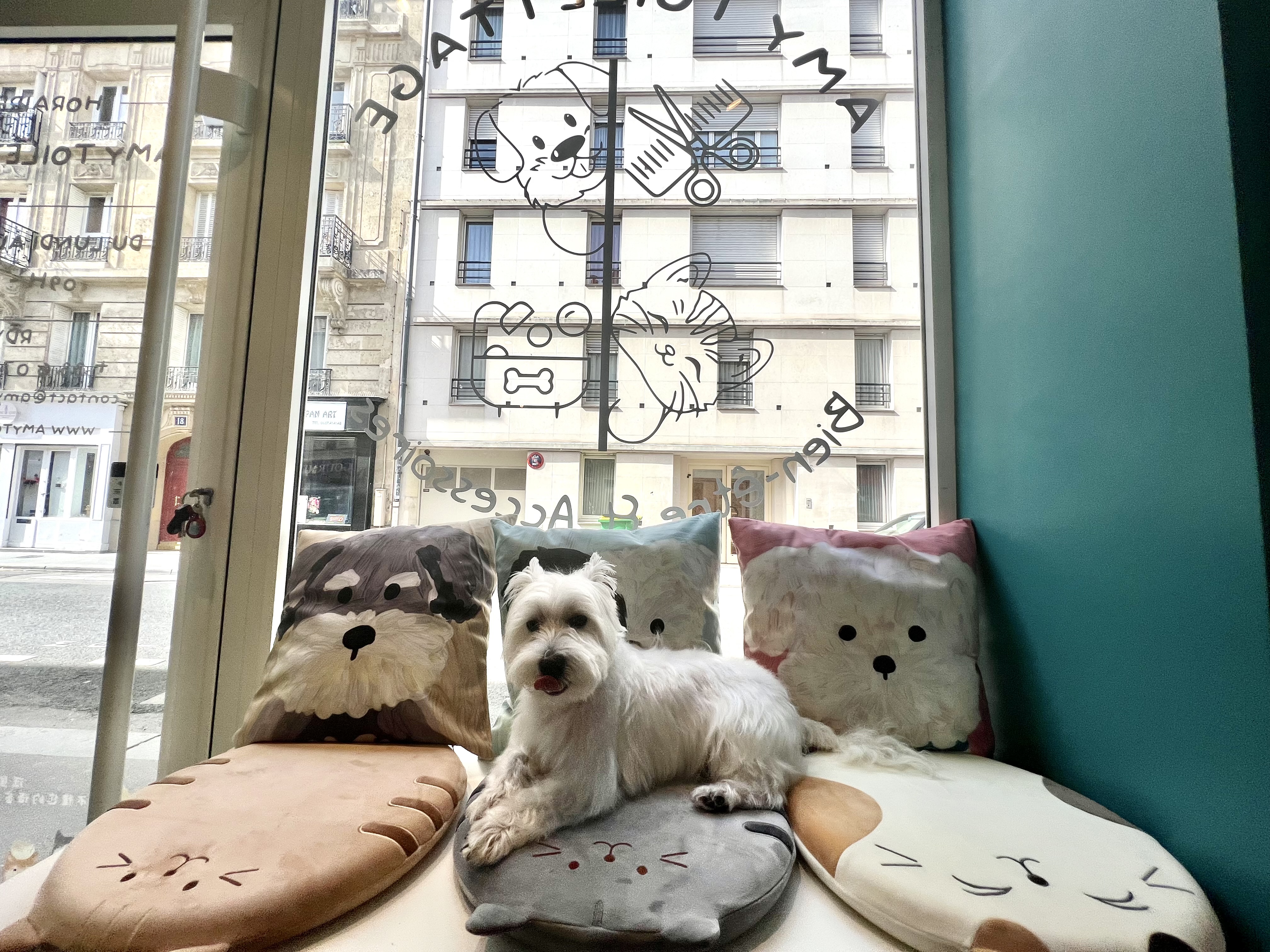 Miniature de la galerie