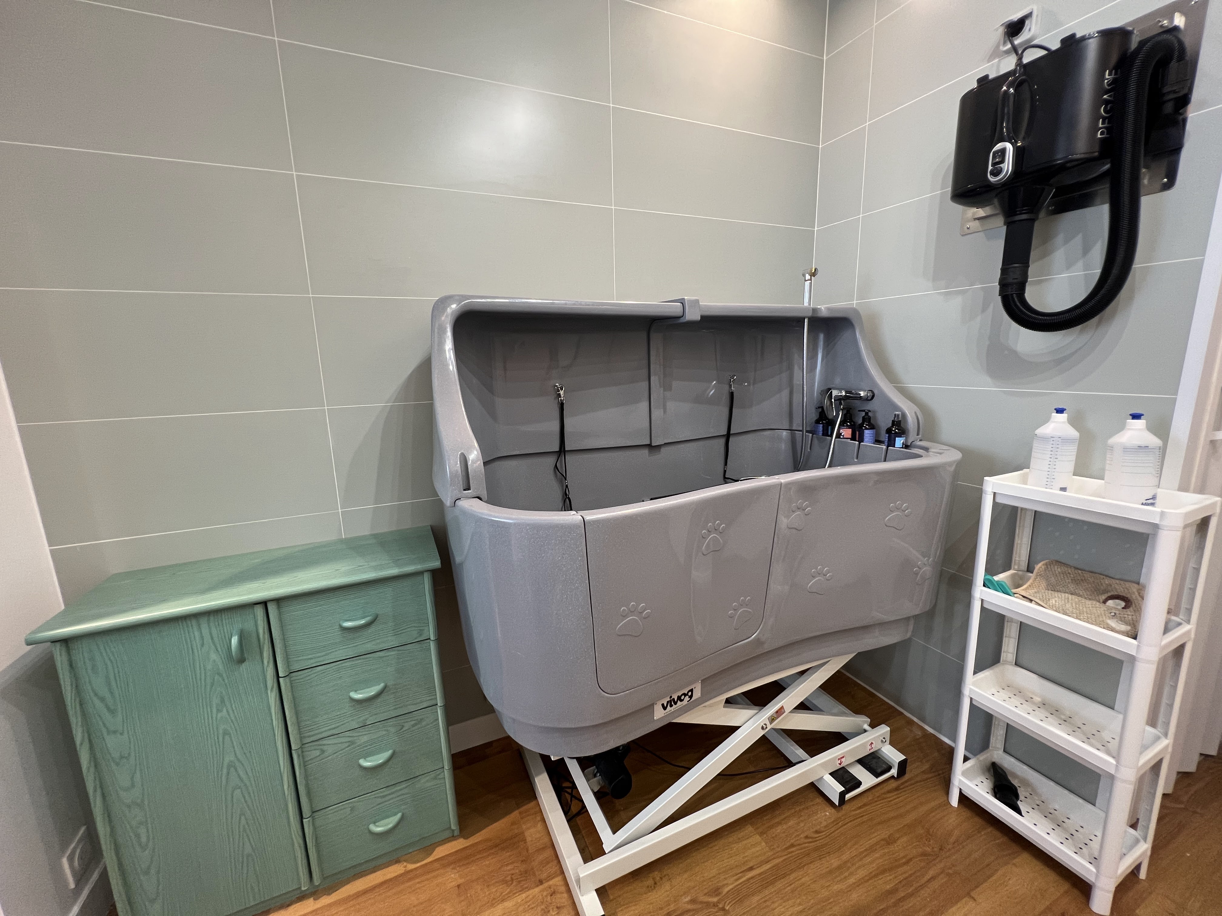 Miniature de la galerie