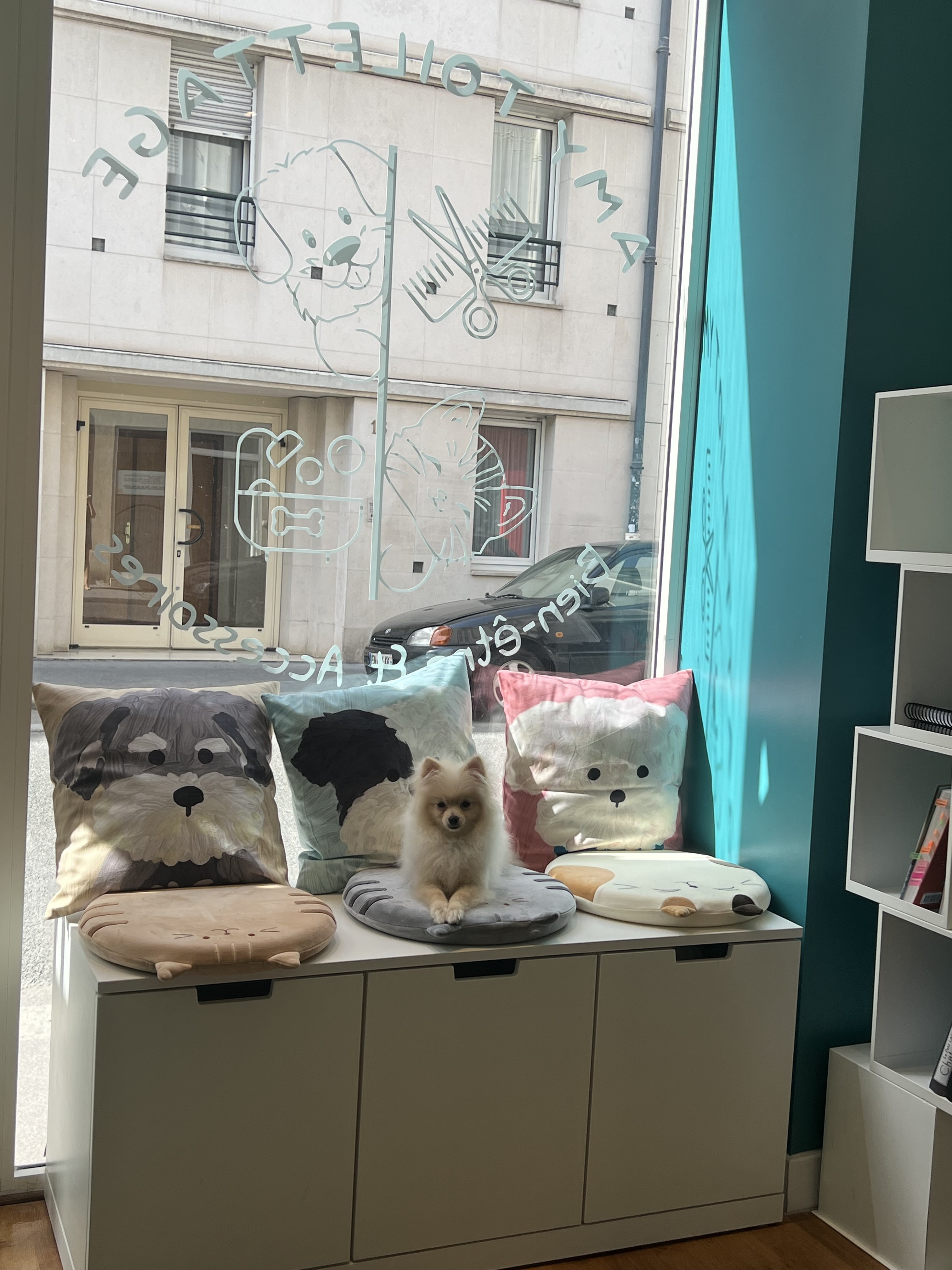 Miniature de la galerie