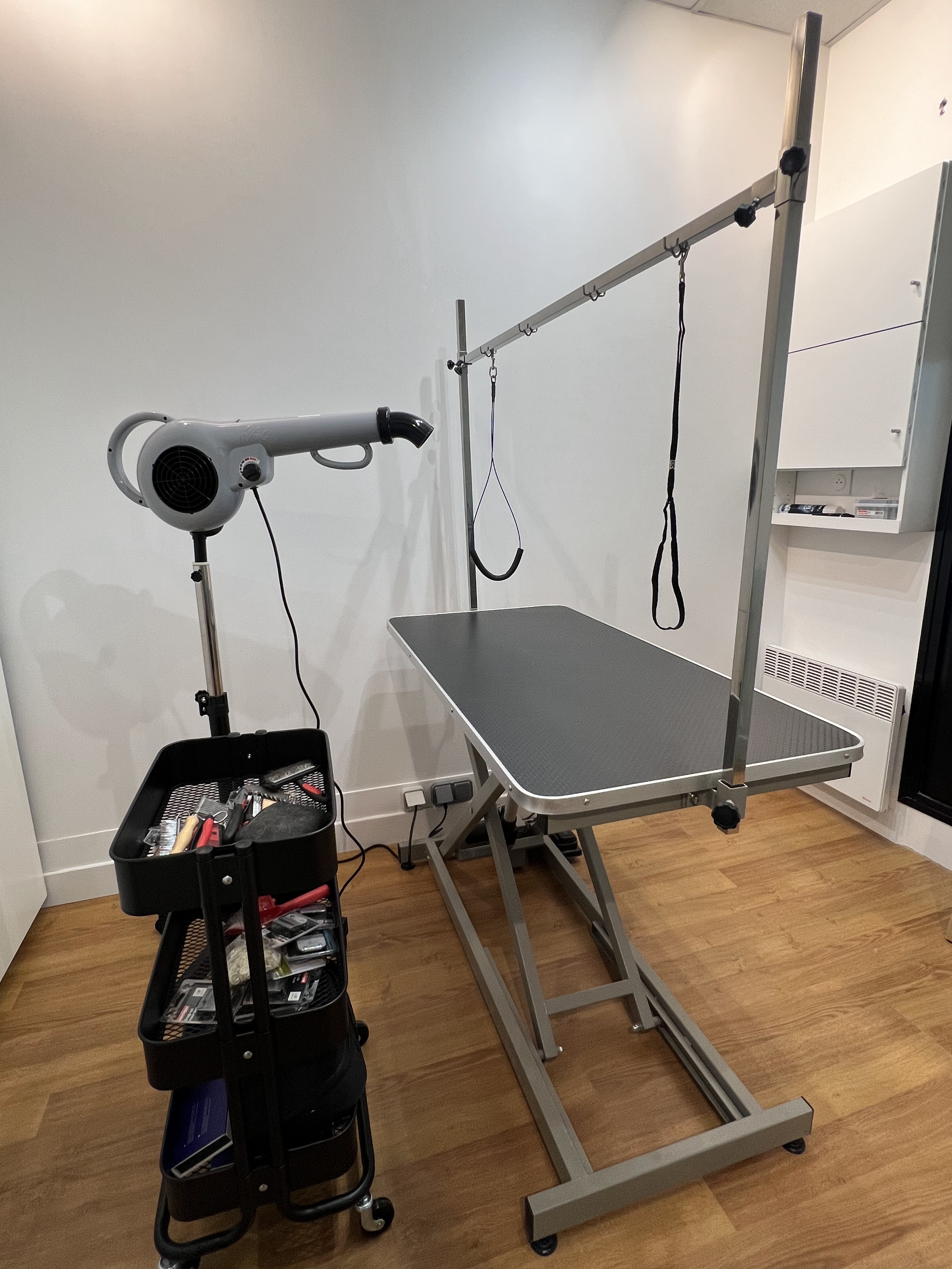 Miniature de la galerie