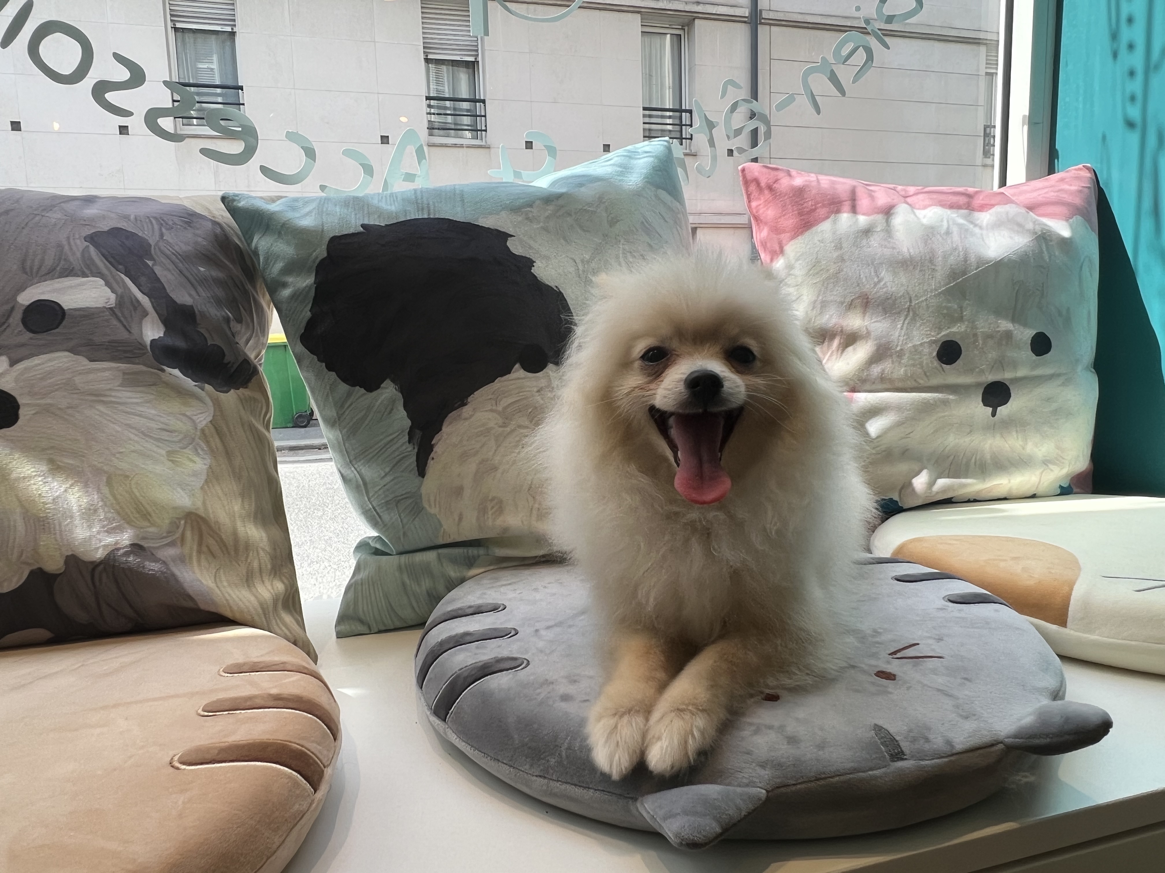 Miniature de la galerie