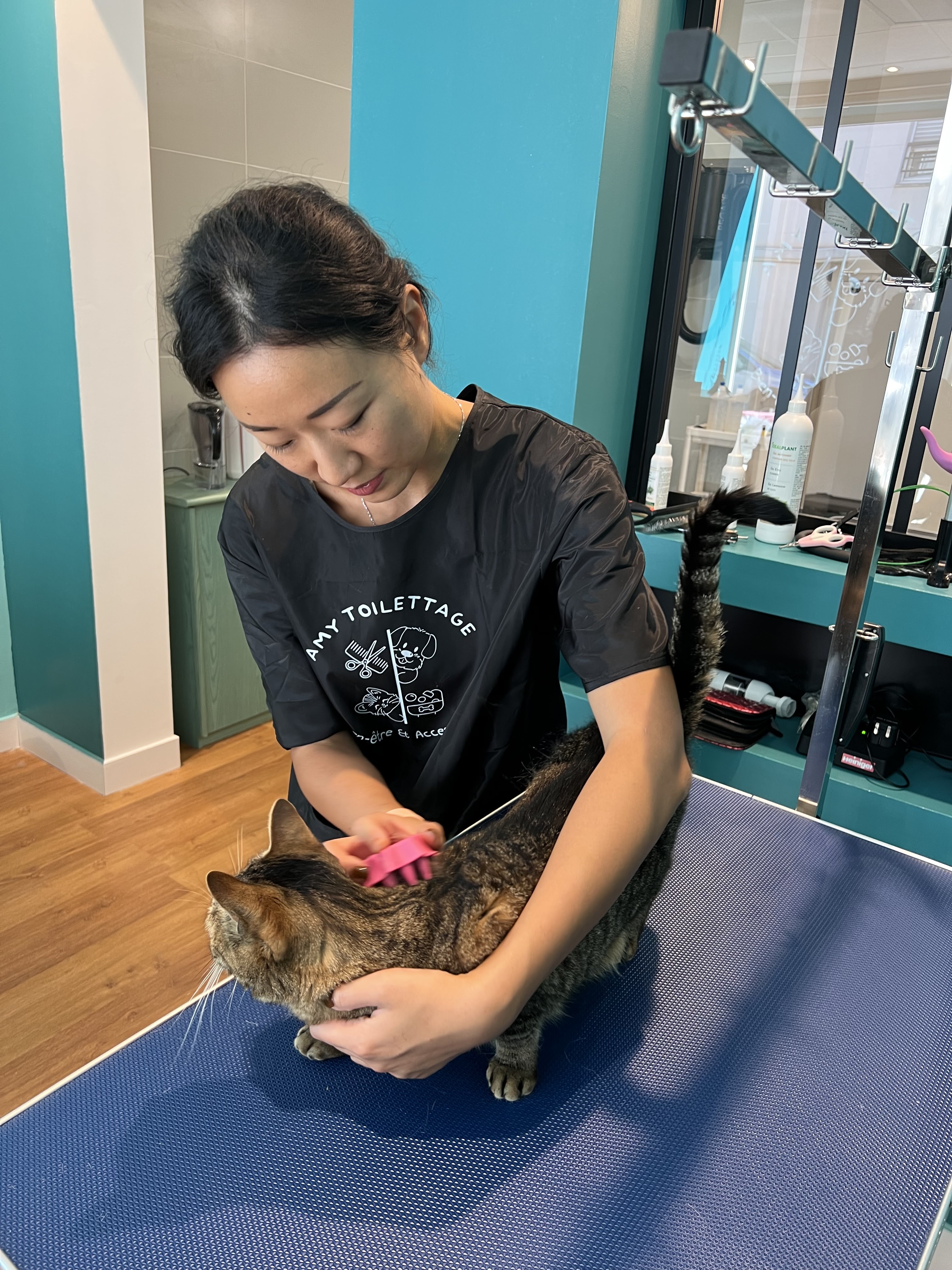 Miniature de la galerie