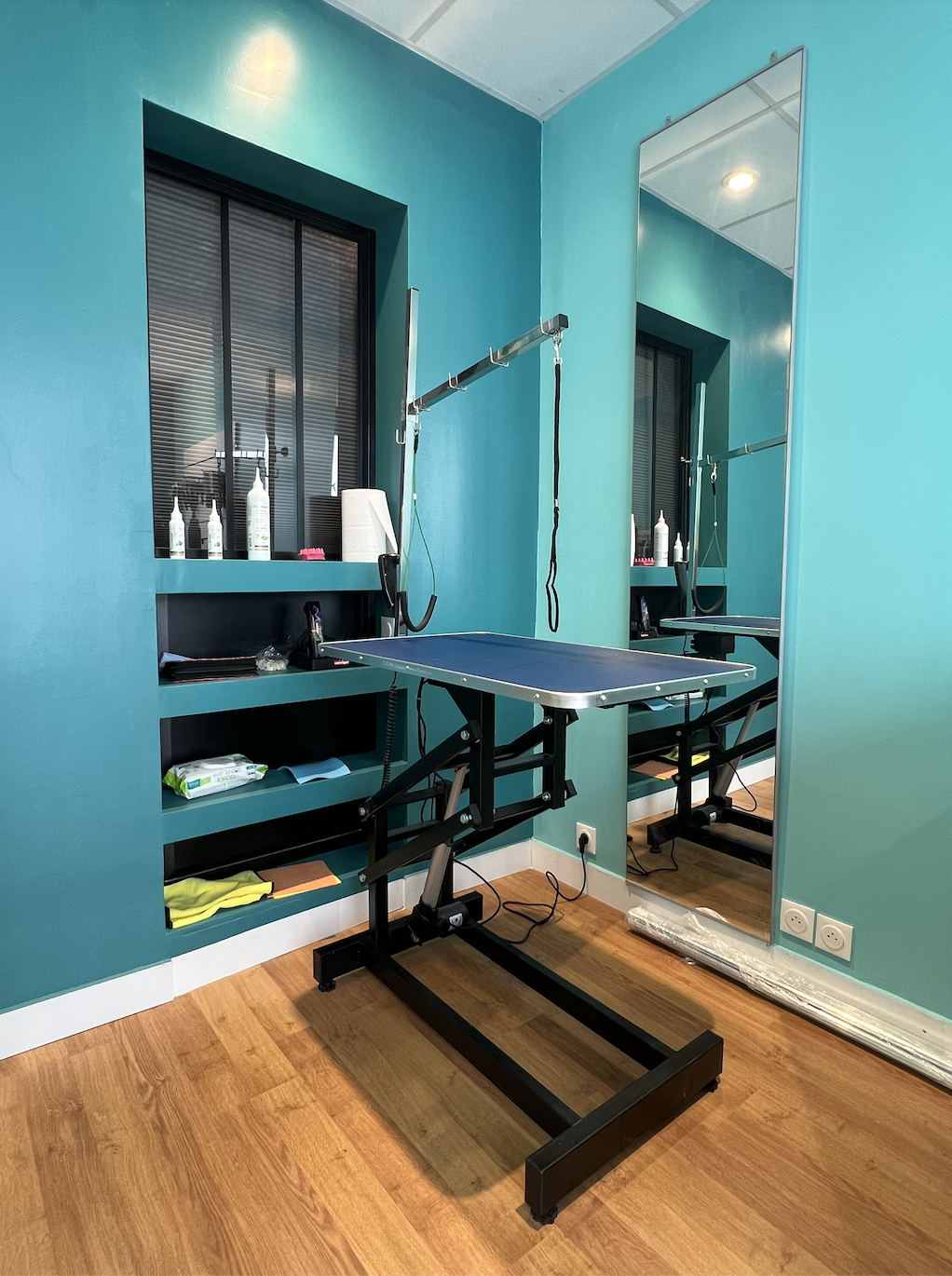 Miniature de la galerie