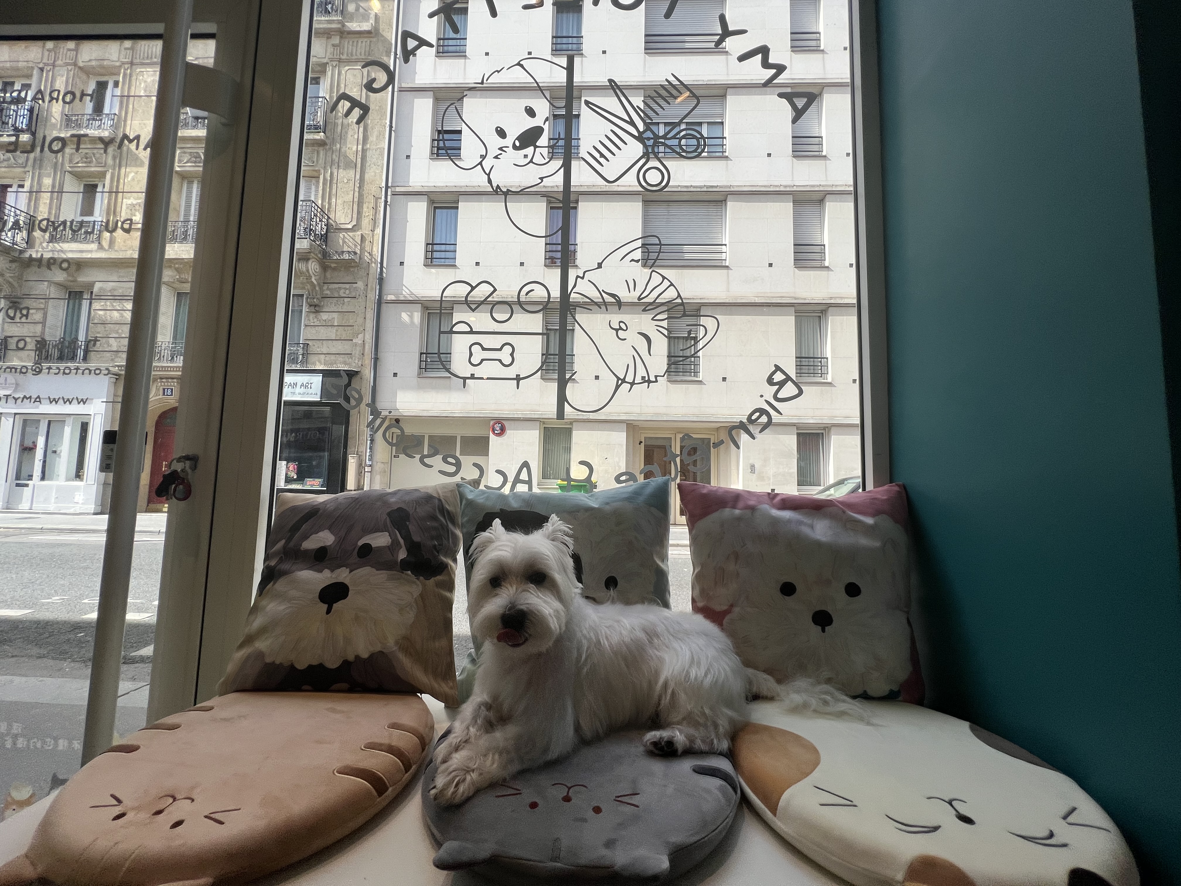 Miniature de la galerie