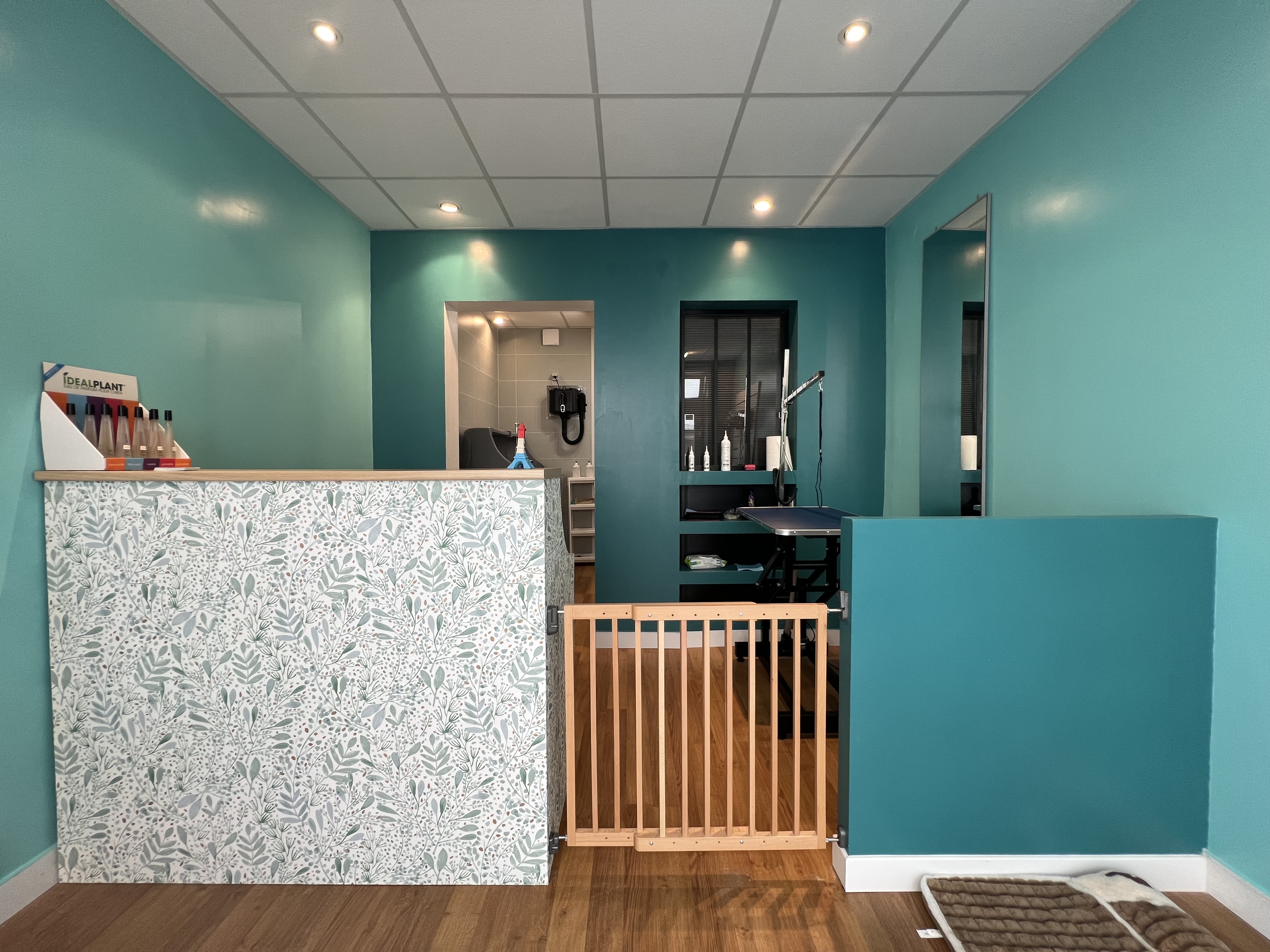 Miniature de la galerie