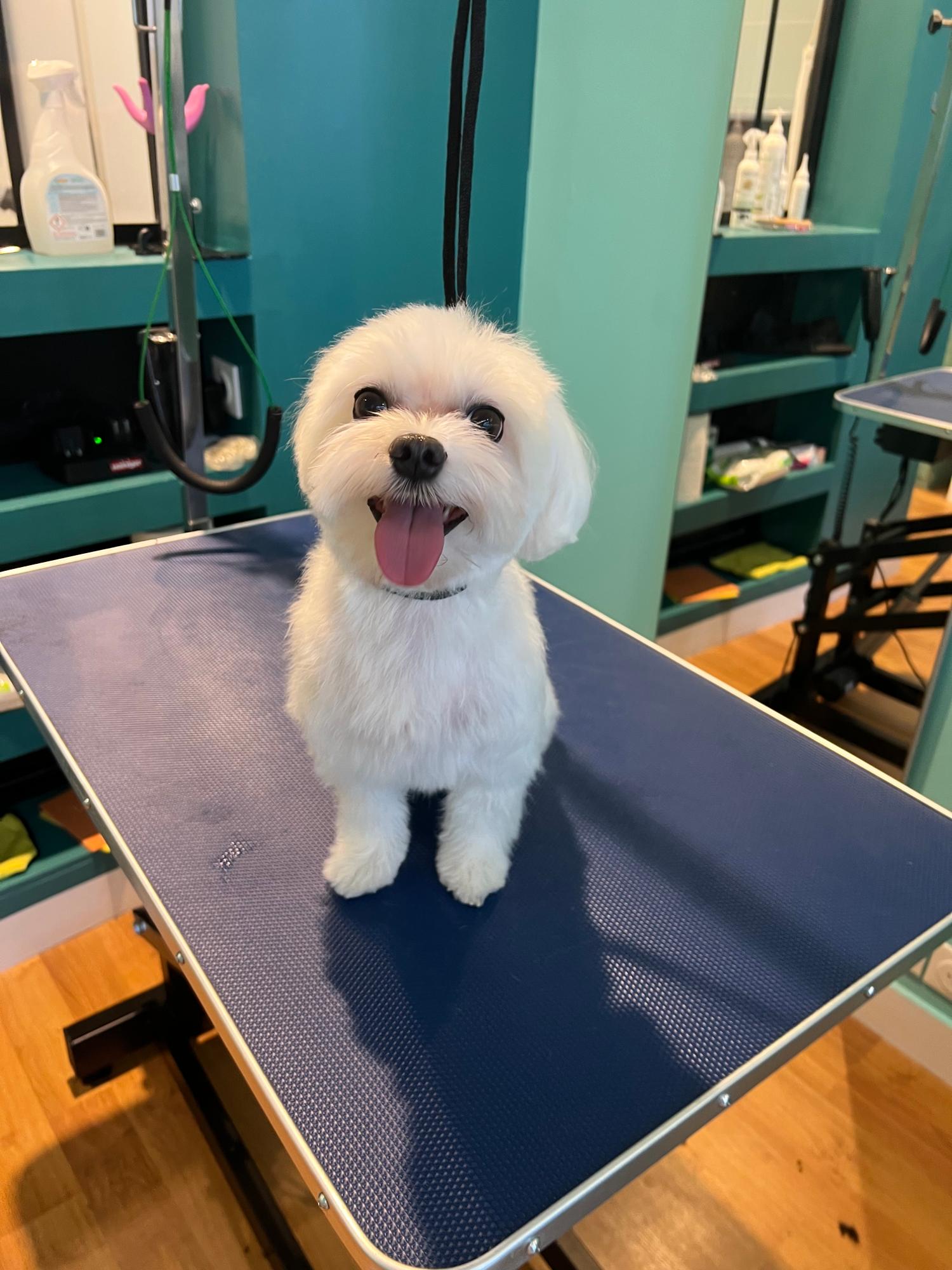 Miniature de la galerie