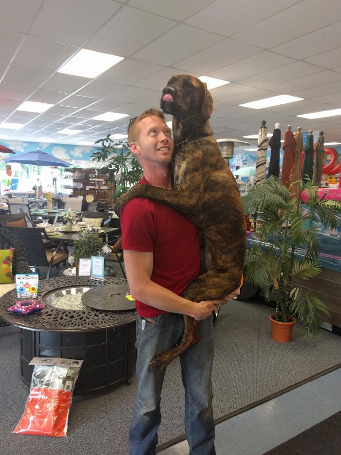 Pettis Pools & Patio - Hilton, NY