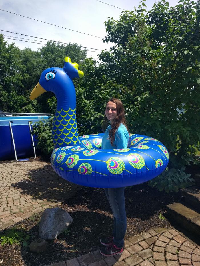 Pettis Pools & Patio - Hilton, NY