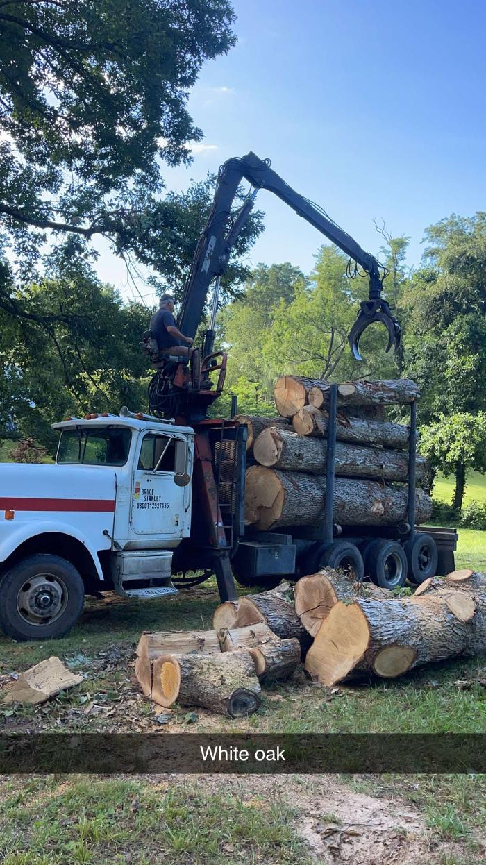 East Coast Tree Service - Candler, NC