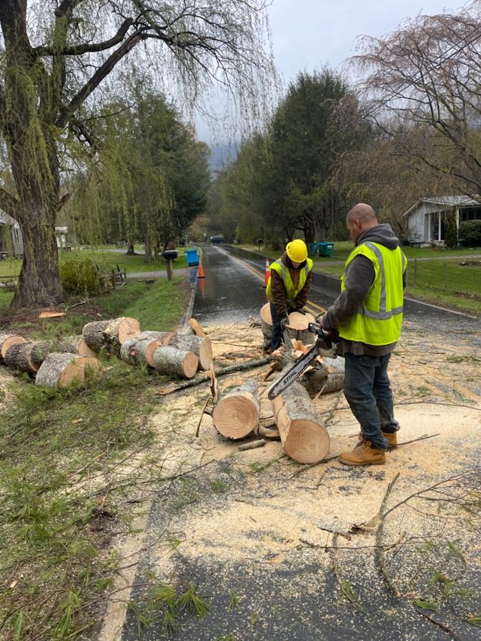 East Coast Tree Service - Candler, NC