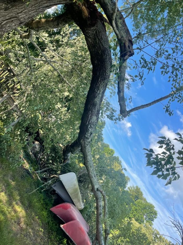 East Coast Tree Service - Candler, NC