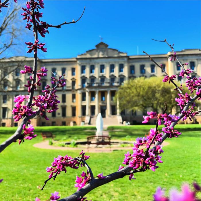 Saint Mary's University of Minnesota - Rochester, MN