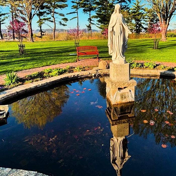 Saint Mary's University of Minnesota - Rochester, MN