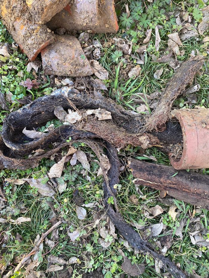 Colossal Plumbing - Tulsa, OK