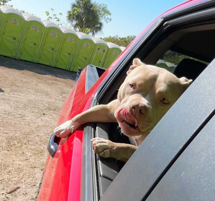 #1BEST TOILETS - Miami, FL