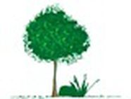 Moriceau Paysagiste Expert