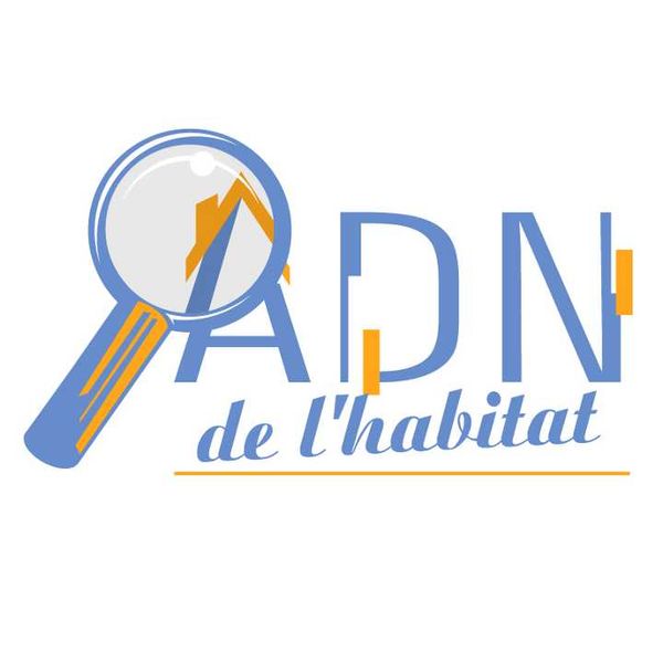 Analyse Diagnostic & Norme de l'Habitat expert en immobilier