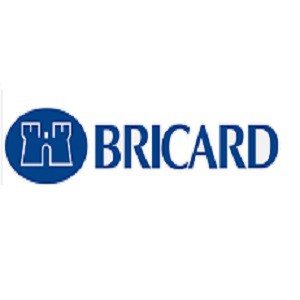 Bricard Allegion Expert