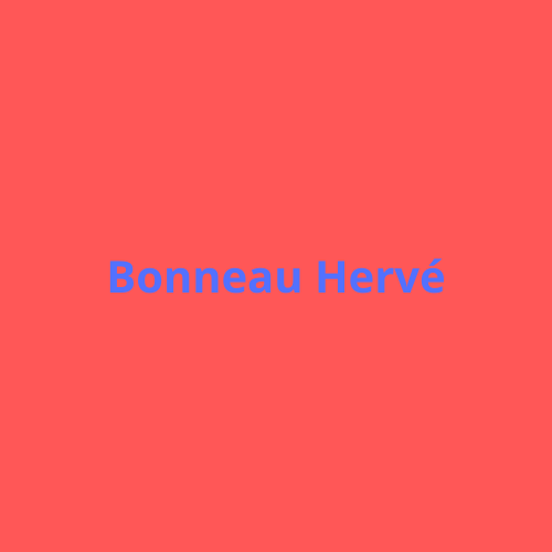 Bonneau Hervé Expert