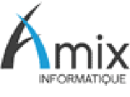 Amix Informatique Autres services