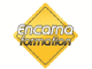 Encarna Formation