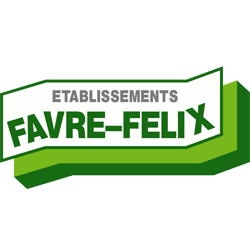 Etablissement Favre-Félix Pierre réparation et restauration (objets divers)