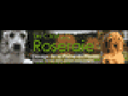 SARL CHENIL DU CLOS DE LA ROSERAIE